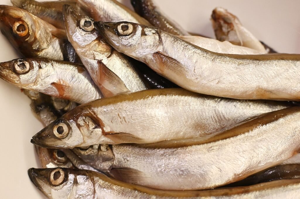 What Is Tinned Fish?